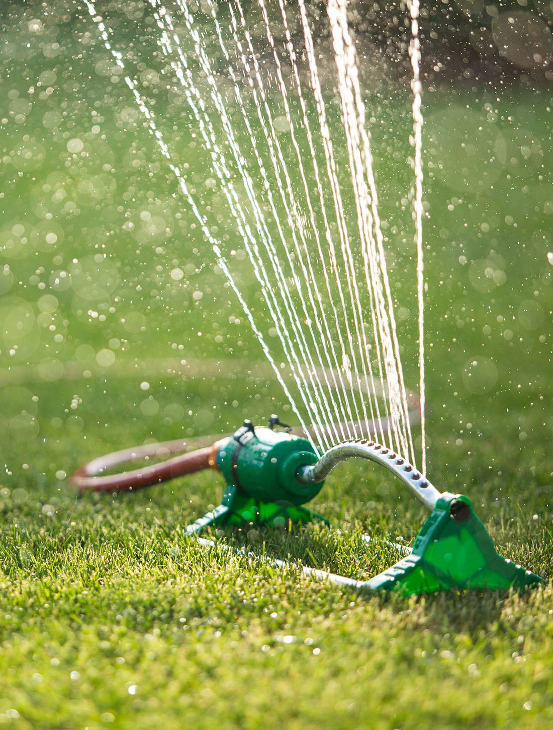 How long after fertilizing should I wait to water my lawn? LawnCentral