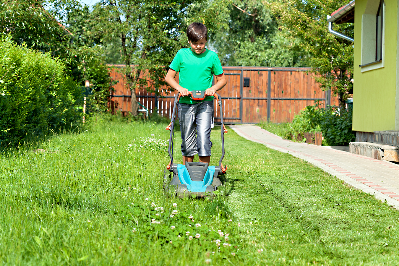 why-is-it-important-to-mow-at-high-settings-lawncentral